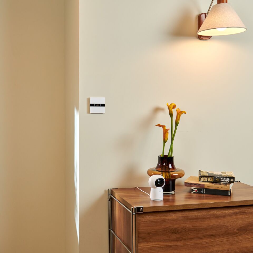 Aqara Ekranlı Kontrol Anahtarı V1  WS-K02D